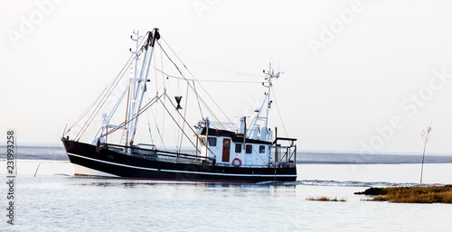 Krabbenkutter auf dem Weg zu den Fanggründen der Granat, Krabbenfischerei an der Nordseeküste