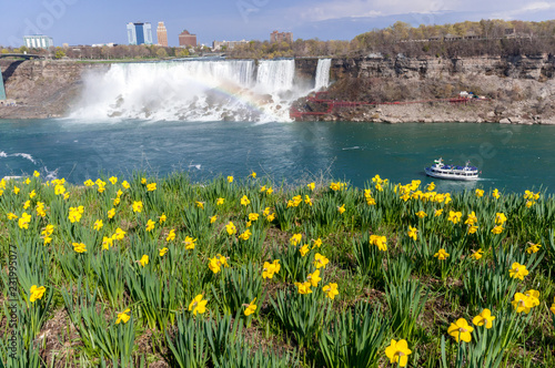 View at Niagara Falls and flowers from Canadian side in spring season