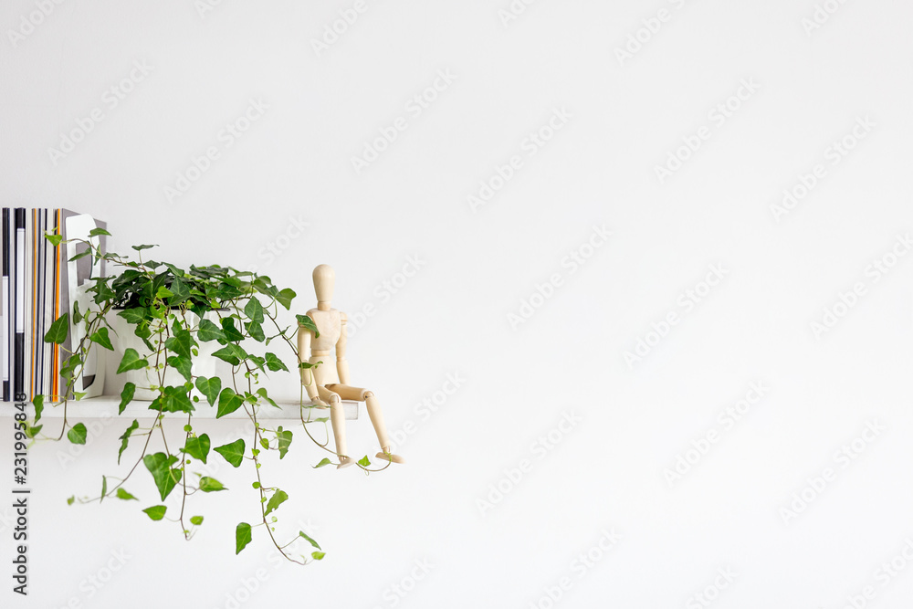 Bookshelf with ivy on white wall and copy space. Bookshelf with ivy on white wall and copy space.