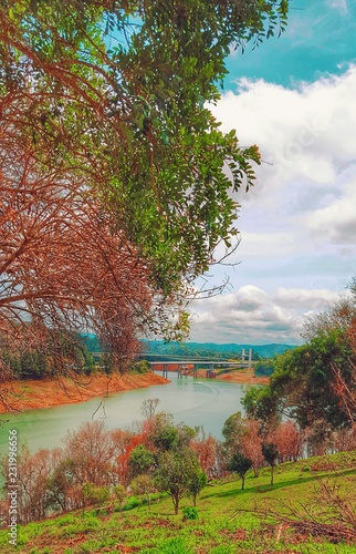 Fall colors in Curitiba a beatiful view river