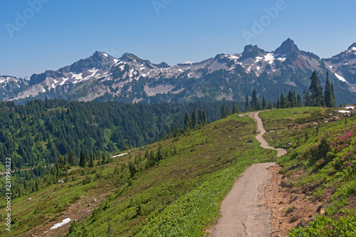 Isolated Trail Leading into the Mountains