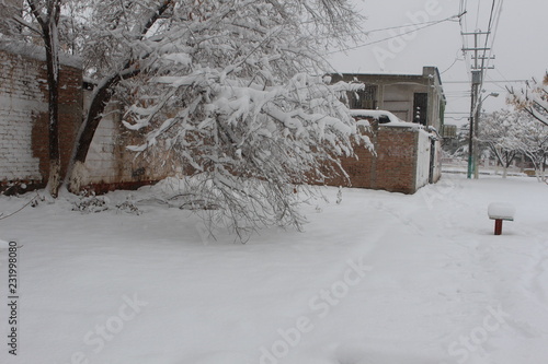 parque con nieve photo