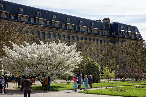 Paris, France - April 11, 2018: Jardin des Plantes - Main botanical garden in France. photo