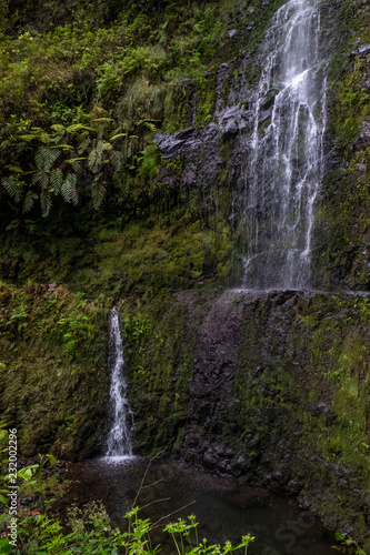 Fototapeta Naklejka Na Ścianę i Meble -  Caldeirão do Inferno Hiking - Madeira Island