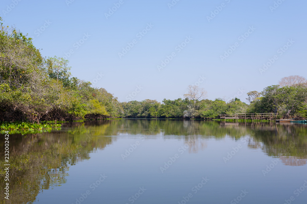 Panorama from Pantanal, Brazilian wetland region.