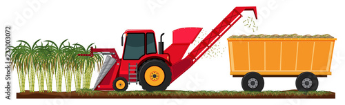 Farm harvesting sugar cane