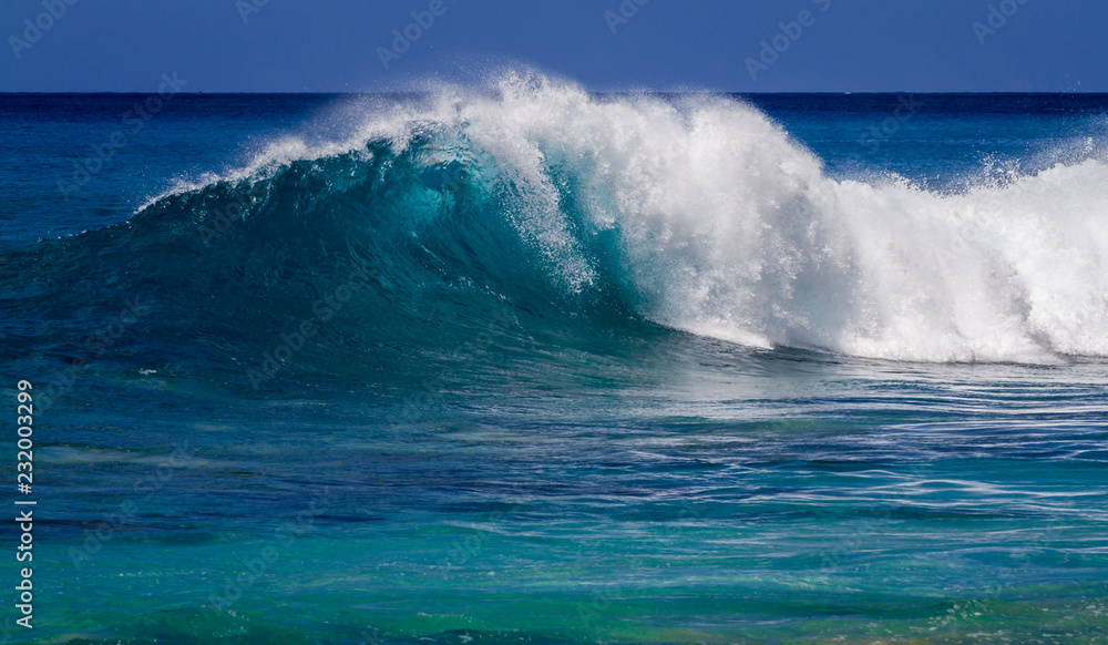 Fototapeta premium Breaking Ocean wave