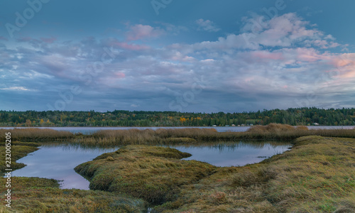 Lynch Cove Wetlands Washington State