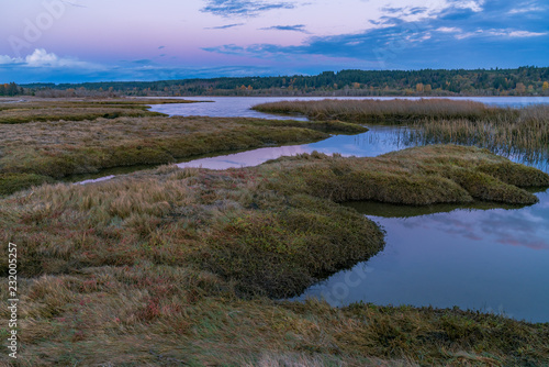 Lynch Cove Wetlands Washington State