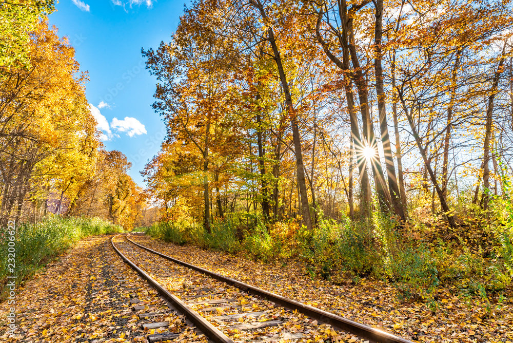 Colorful autumn landscape Beautiful autumn forest sun burst lens flare sun star train tracks