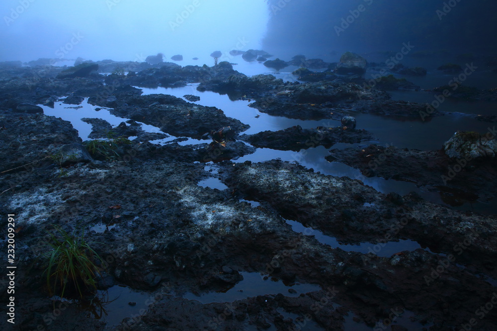 Obraz premium 早朝の川の風景