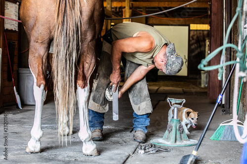 farrier