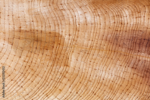wood ring texture