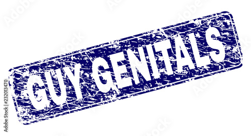 GUY GENITALS stamp seal print with grunge style. Seal shape is a rounded rectangle with frame. Blue vector rubber print of GUY GENITALS caption with grunge style.