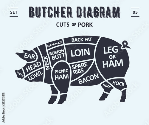 Cut of meat set. Poster Butcher diagram and scheme - Pork. Vintage typographic. Diagrams for butcher shop, design for restaurant or cafe. Vector Illustration
