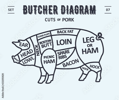 Cut of meat set. Poster Butcher diagram and scheme - Pork. Vintage typographic. Diagrams for butcher shop, design for restaurant or cafe. Vector Illustration