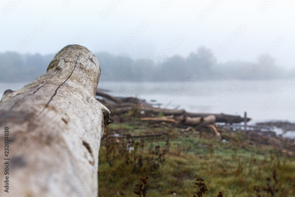 Thick fog on the bank of the river next to the forest