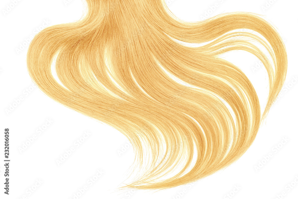 Curl of natural blond hair on white background