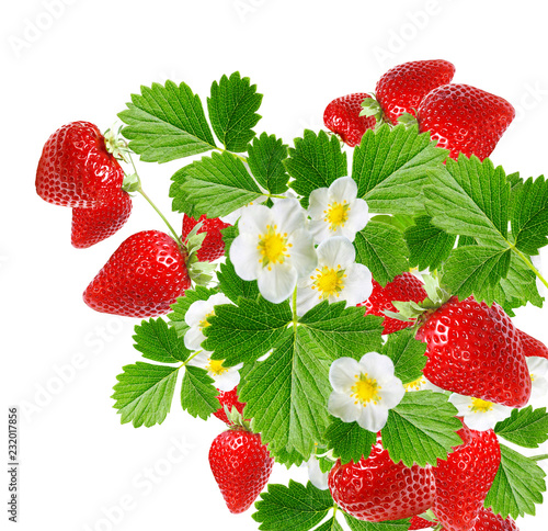 ripe red fresh strawberries on white