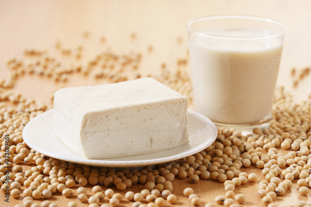 soy products with soybean, soymilk and tofu soy products with soybean, soymilk and tofu