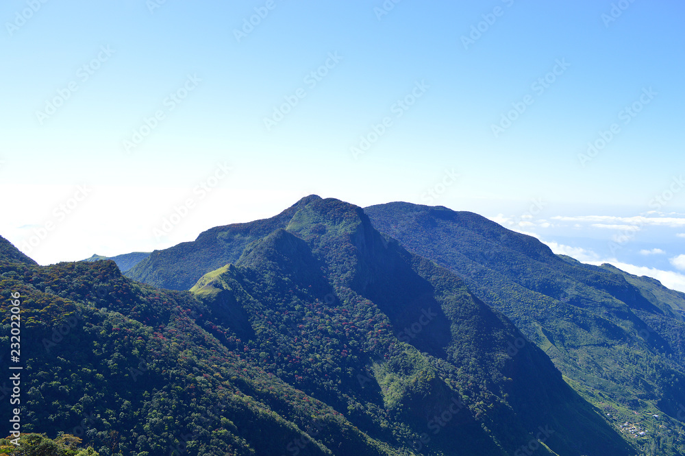 a view of the landscape Ceylon nature