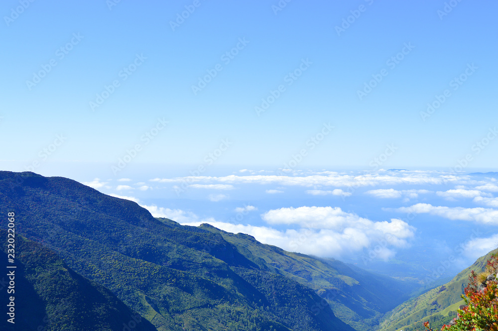 a view of the landscape Ceylon nature