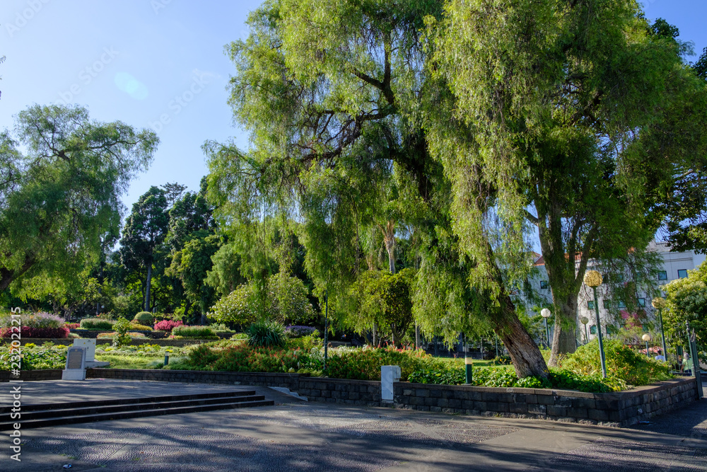 Santa Catarina Park - Funchal Madeira Island - Portugal Santa Catarina Park - Funchal Madeira Island - Portugal