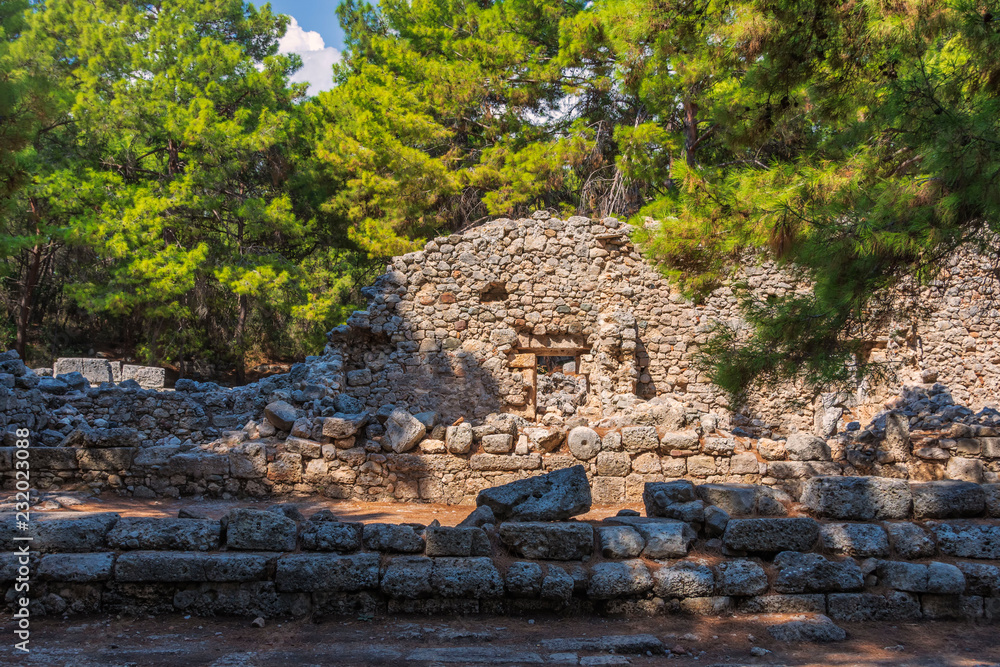 walls and stones, the ruins of the historic city of Phaselis among green relict pines, founded in the 6th century BC