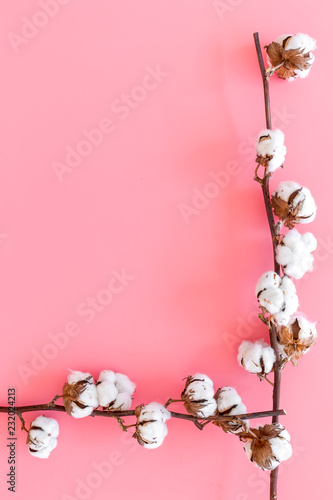 Cotton source. Collect cotton. Cotton plant with white flowers, natural view on pink background top view space for text © 9dreamstudio