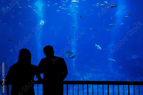 silhouette couple in front of an aquarium 