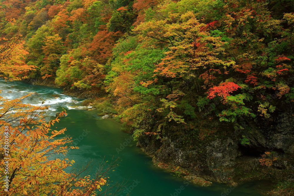 紅葉の抱返り渓谷