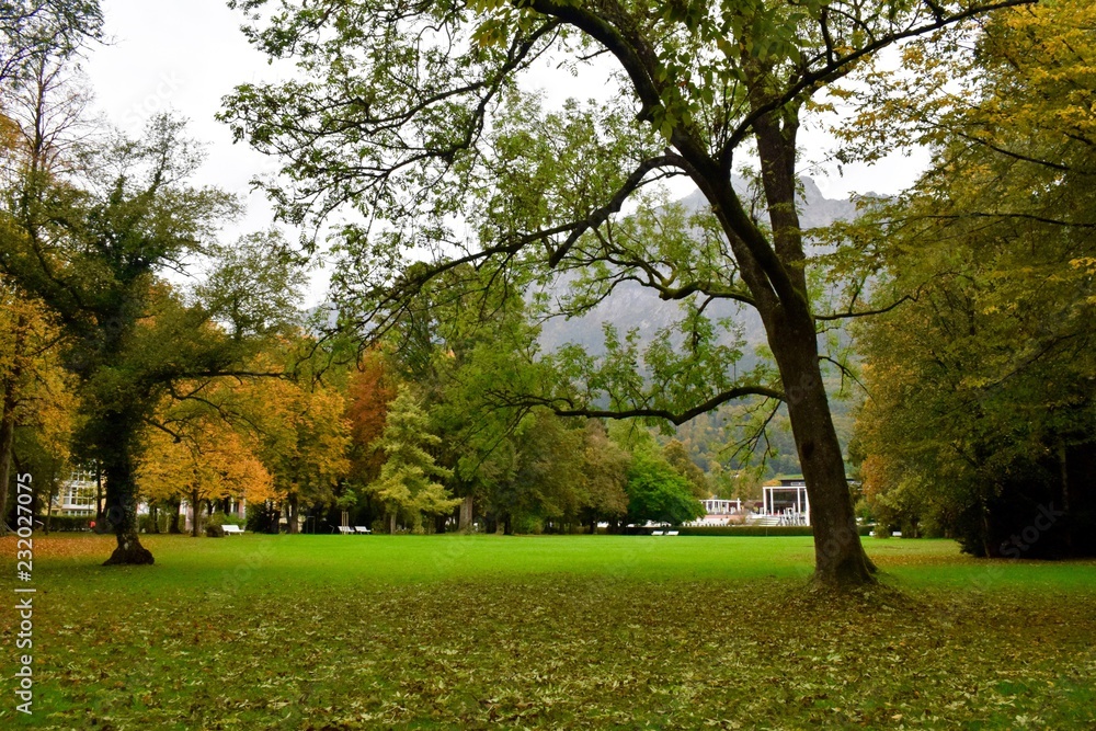 Fototapeta premium park in autumn
