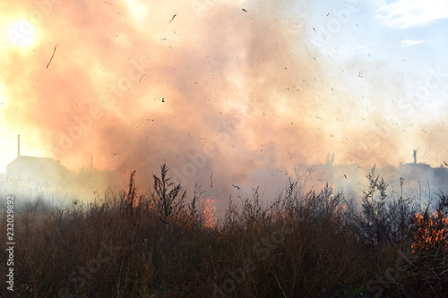 Ignition of dry grass and reeds. photo