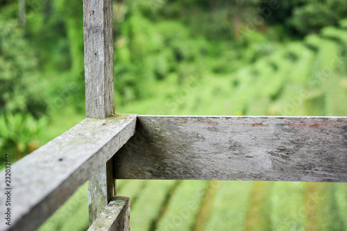 Vintage wood railing of a country house over a cultivated green tea orchard.