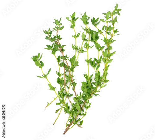 Thyme bunch isolated on white background. top view