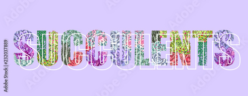 Vector lettering decorated with plants. The word "succulents". Floral botanical illustration.