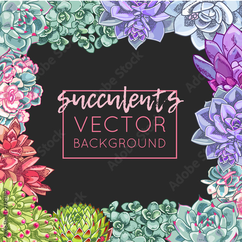 The illustration with beautiful succulents decoration. Vector floral design. Botanical frame template.