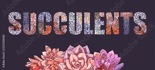 Vector lettering decorated with plants. The word "succulents". Floral botanical illustration.