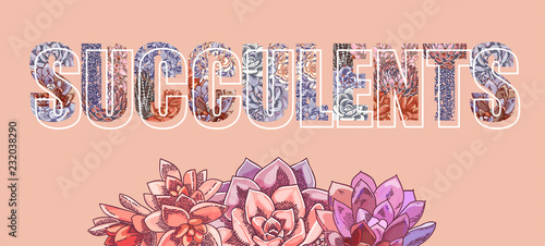 Vector lettering decorated with plants. The word "succulents". Floral botanical illustration.