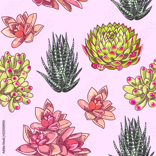Beautiful succulents decoration design. Floral seamless pattern. Botanical illustration.