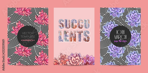 The collection of illustrations with beautiful succulents decoration. Vector floral set. Botanical and abstract geometric background template.