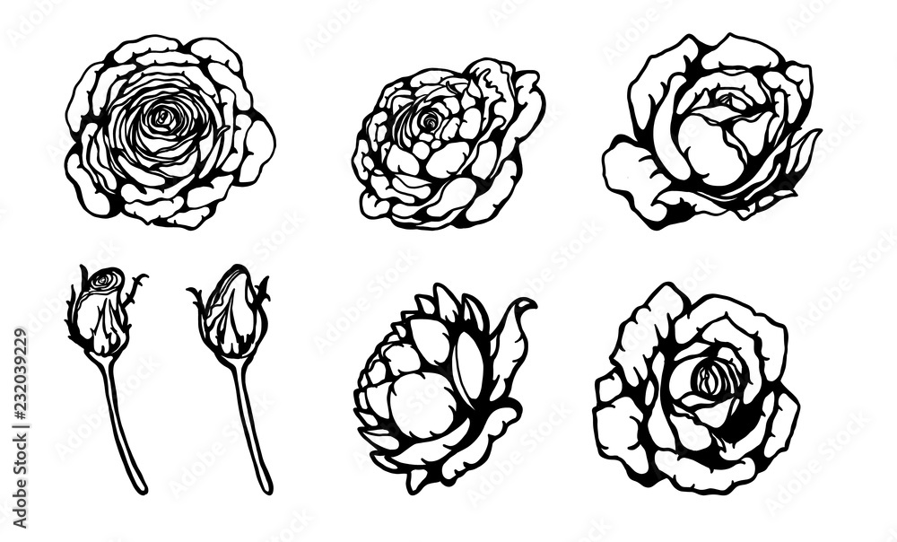 Rose ornament vector by hand drawing.Beautiful flower on brown background.Golden celebration rose lace vector art highly detailed in line art style.Flower tattoo for paint or pattern. Rose ornament vector by hand drawing.Beautiful flower on brown background.Golden celebration rose lace vector art highly detailed in line art style.Flower tattoo for paint or pattern.