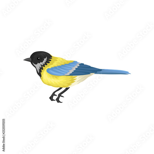 Tomtit with bright yellow and blue feathers. Small passerine bird. Fauna and wildlife theme. Flat vector icon