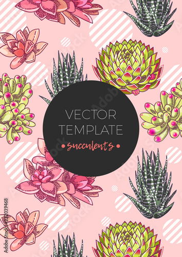 The illustration with beautiful succulents decoration. Vector floral design. Botanical background template.