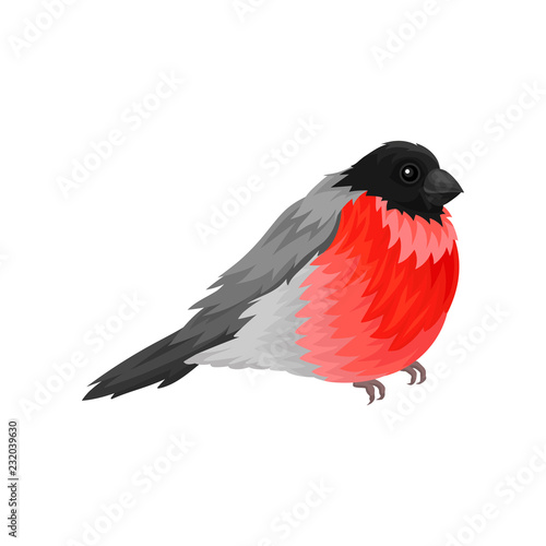 Flat vector icon of bullfinch. Small winter songbird with bright red belly and short beak. Wildlife and fauna theme