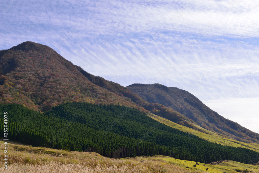 Fototapeta premium 別府の山