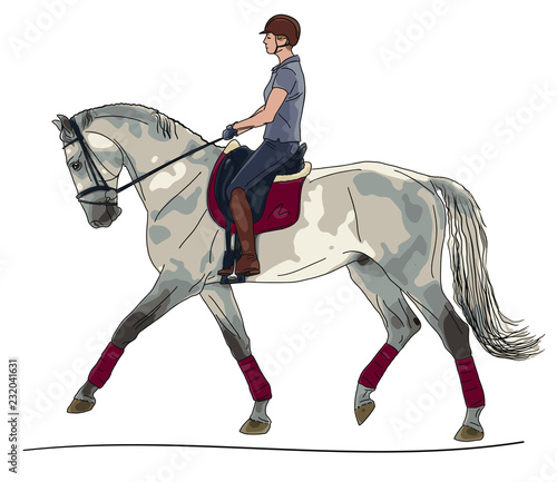 Vector illustration of a dressage rider on a horse.