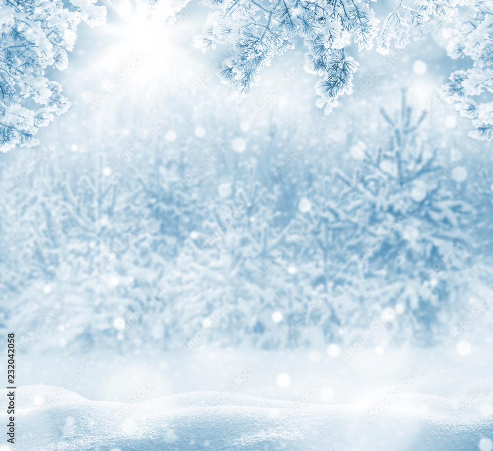 Winter bright background. Christmas landscape with snowdrifts and pine branches in the frost. Winter bright background. Christmas landscape with snowdrifts and pine branches in the frost.
