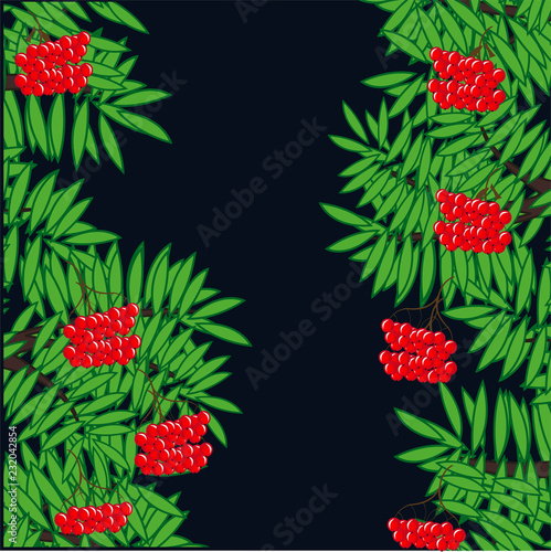 Branches of ripe rowanberry on dark background