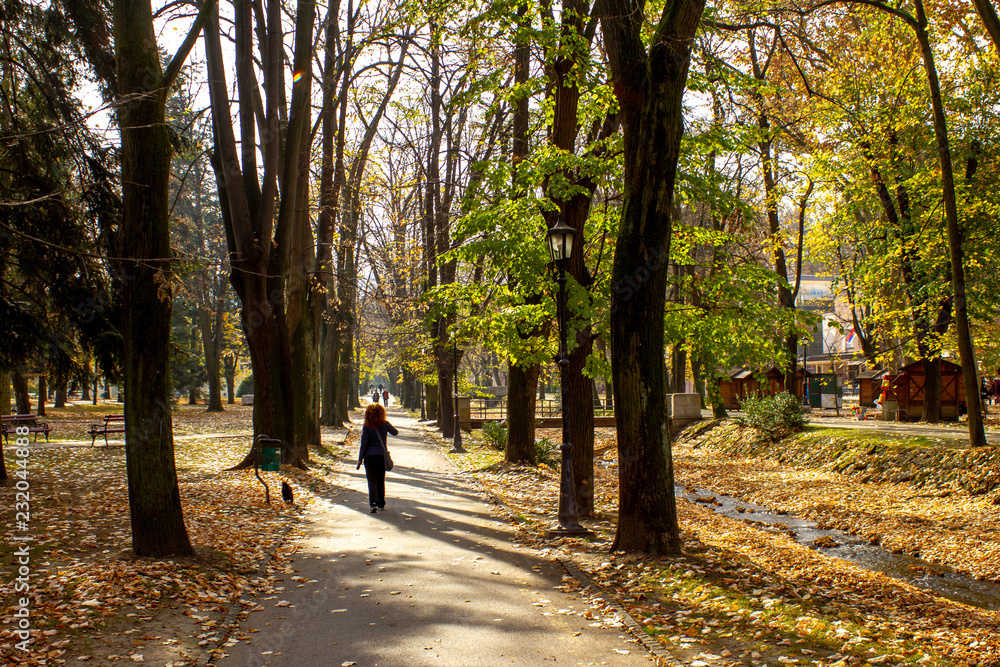 Public park in autumn - Vrnjacka Banja, Serbia.. Vrnjacka Banja is a popular tourist destination in Serbia, a place that every year visit a millions of tourist. Also, here is placed a several source o Public park in autumn - Vrnjacka Banja, Serbia.. Vrnjacka Banja is a popular tourist destination in Serbia, a place that every year visit a millions of tourist. Also, here is placed a several source o